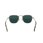 RB STUDIO 001 55 Polarized