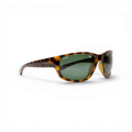 RB RACE 102 05 (Shiny Havana)