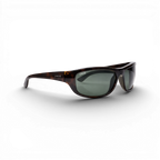 RB SHARK 102 05